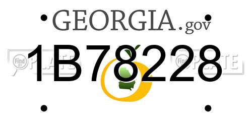 1B78228 Georgia License Plate