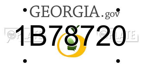 1B78720 Georgia License Plate