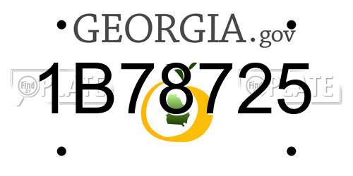 1B78725 Georgia License Plate