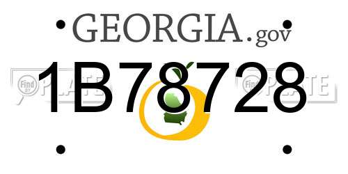 1B78728 Georgia License Plate