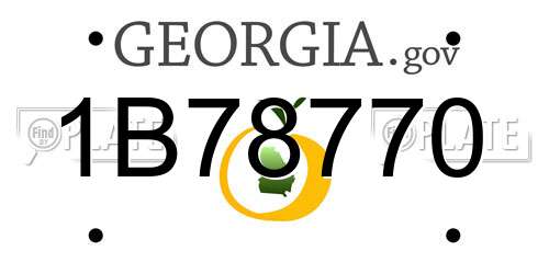 1B78770 Georgia License Plate