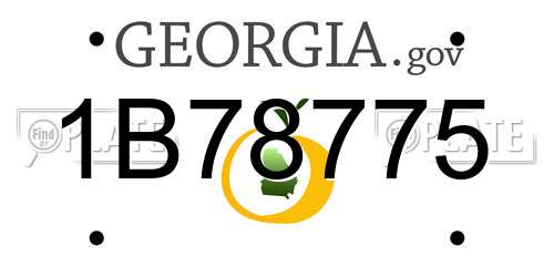 1B78775 Georgia License Plate