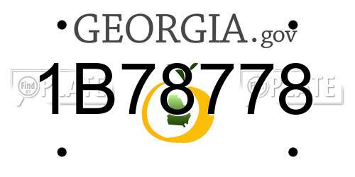 1B78778 Georgia License Plate