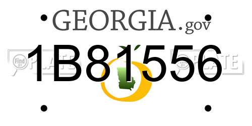 1B81556 Georgia License Plate