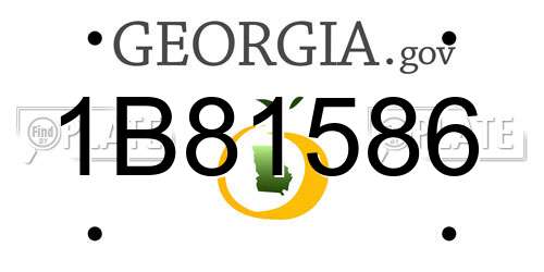 1B81586 Georgia License Plate