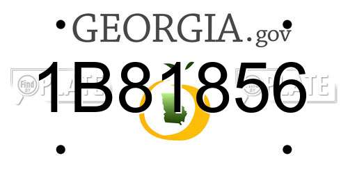1B81856 Georgia License Plate