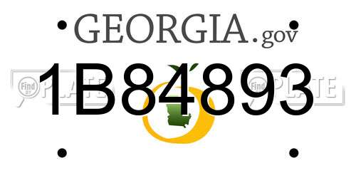 1B84893 Georgia License Plate