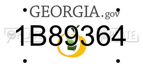 1B89364 Georgia License Plate