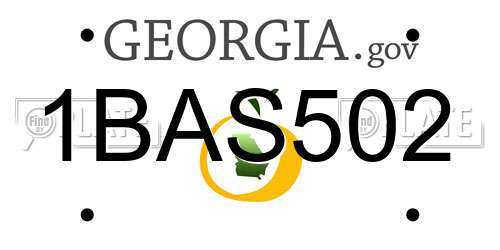 1BAS502 Georgia License Plate