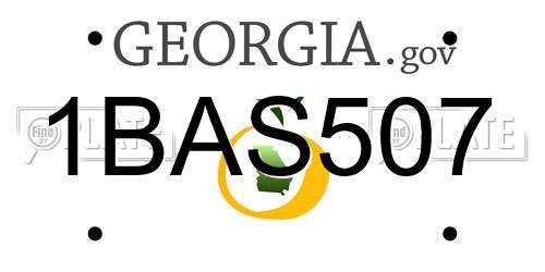 1BAS507 Georgia License Plate