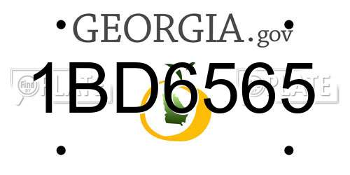 1BD6565 Georgia License Plate
