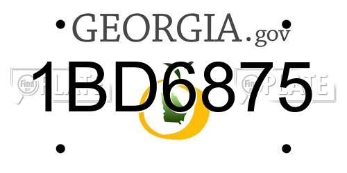 1BD6875 Georgia License Plate