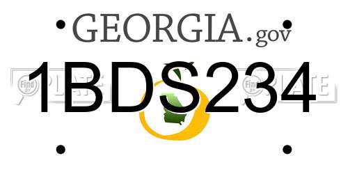 1BDS234 Georgia License Plate
