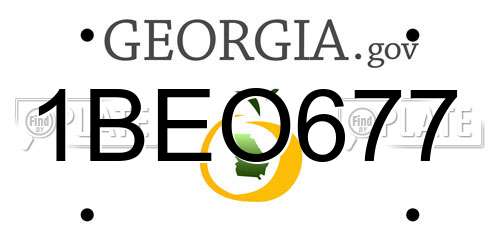 1BEO677 Georgia License Plate
