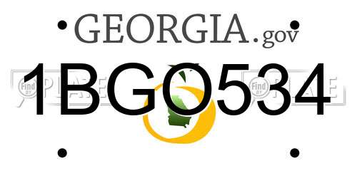 1BGO534 Georgia License Plate