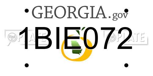1BIE072 Georgia License Plate
