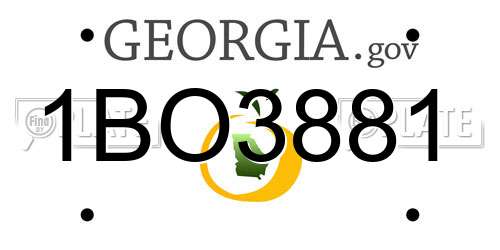 1BO3881 Georgia License Plate