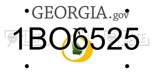 1BO6525 Georgia License Plate