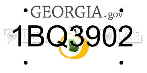 1BQ3902 Georgia License Plate