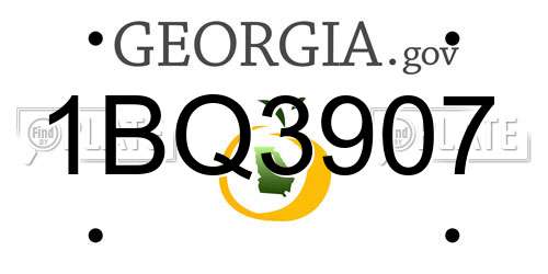 1BQ3907 Georgia License Plate