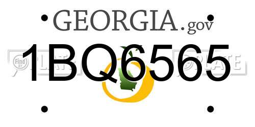 1BQ6565 Georgia License Plate