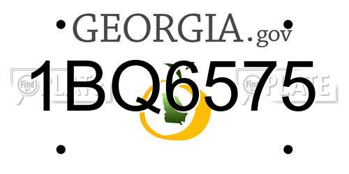 1BQ6575 Georgia License Plate