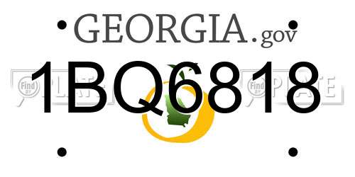 1BQ6818 Georgia License Plate