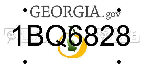 1BQ6828 Georgia License Plate