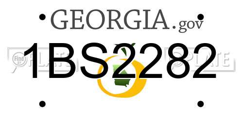 1BS2282 Georgia License Plate