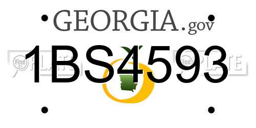 1BS4593 Georgia License Plate
