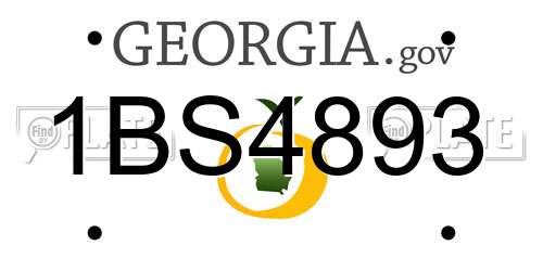 1BS4893 Georgia License Plate