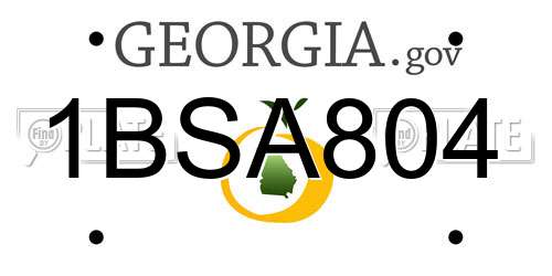 1BSA804 Georgia License Plate