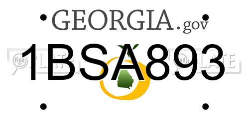 1BSA893 Georgia License Plate