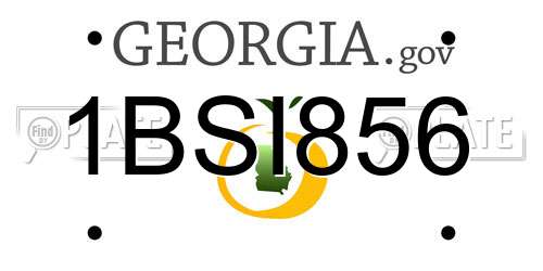 1BSI856 Georgia License Plate