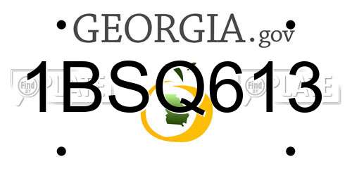 1BSQ613 Georgia License Plate