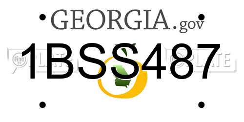 1BSS487 Georgia License Plate