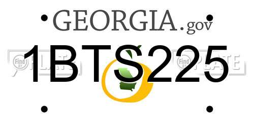 1BTS225 Georgia License Plate