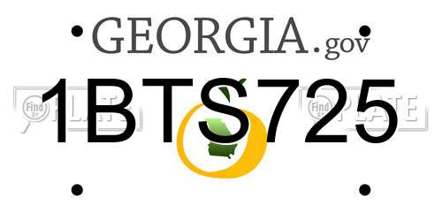 1BTS725 Georgia License Plate