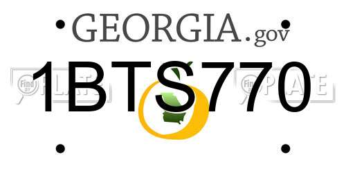 1BTS770 Georgia License Plate
