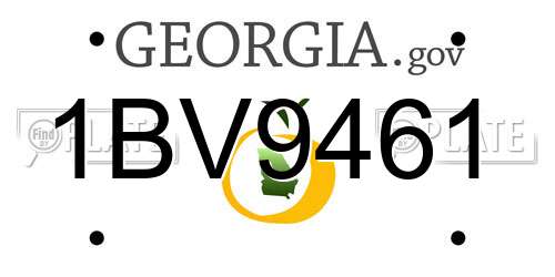 1BV9461 Georgia License Plate