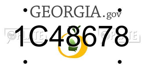 1C48678 Georgia License Plate