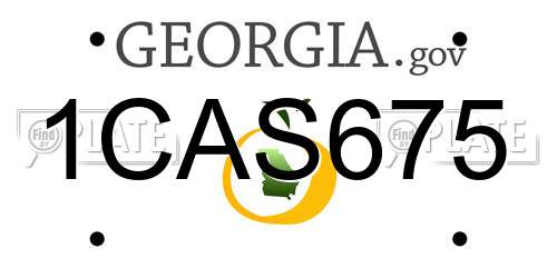 1CAS675 Georgia License Plate