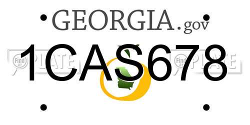 1CAS678 Georgia License Plate