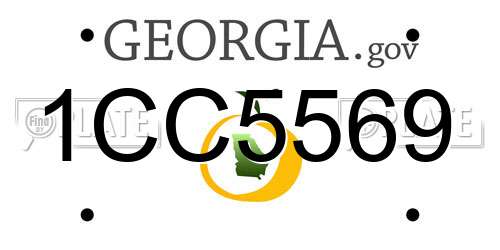 1CC5569 Georgia License Plate
