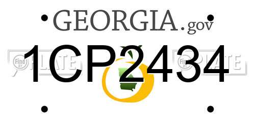 1CP2434 Georgia License Plate