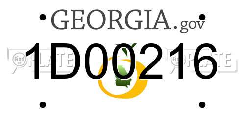 1D00216 Georgia License Plate