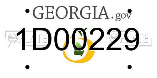 1D00229 Georgia License Plate