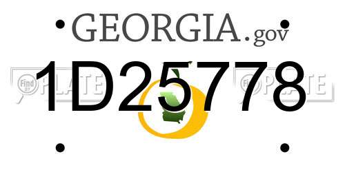 1D25778 Georgia License Plate