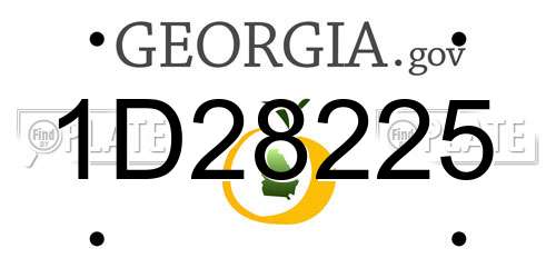1D28225 Georgia License Plate