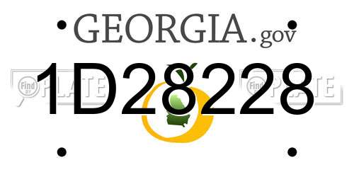 1D28228 Georgia License Plate